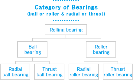 Category of Bearings