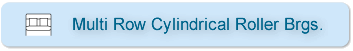 Multi Row Cylindrical Roller Brgs.